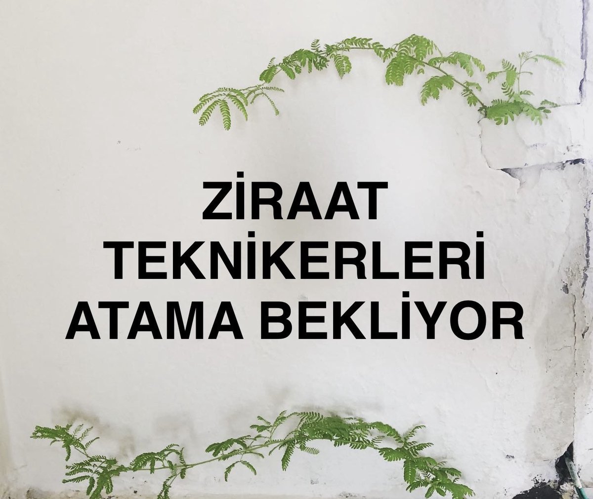 ziraattek's tweet photo. @ibrahimyumakli Sayın bakanım 2020-2022-2024 Kpss puanlarıyla Tarım Bakanlığı'na ziraat teknikeri alınmadı, puanlar boşa gitti. DSİ, TÜRKŞEKER, TMO, TİGEM gibi KİT'lerde teknikerlere daha çok şans verilmeli! Artık sesimize kulak verilmeli
@Seyfullahaslntk 

#ZiraatTeknikerleri750AtamaBekliyor https://t.co/Y3fHJ22ObA