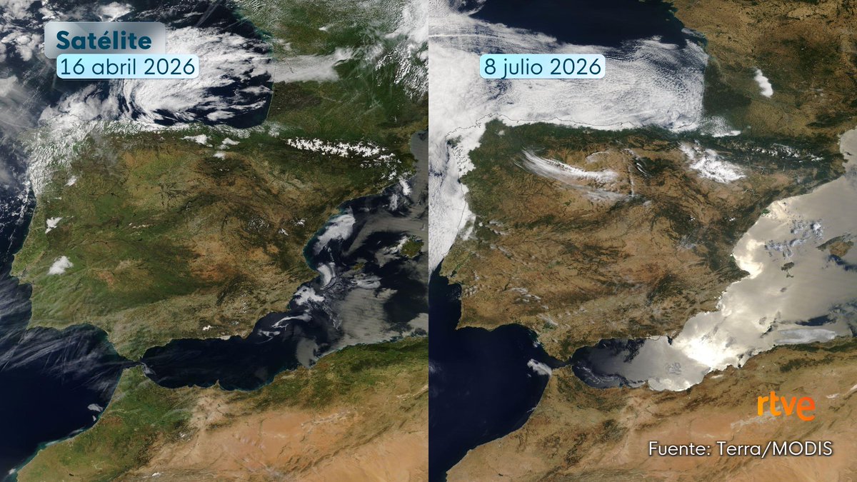 ElTiempo_tve's tweet photo. Llevamos sufriendo temperaturas extremas mucho tiempo y la vegetación se ha secado en cuestión de tres meses en el oeste de Europa. Es muy llamativo el caso de Francia 👇 https://t.co/0fSHMnNTs9