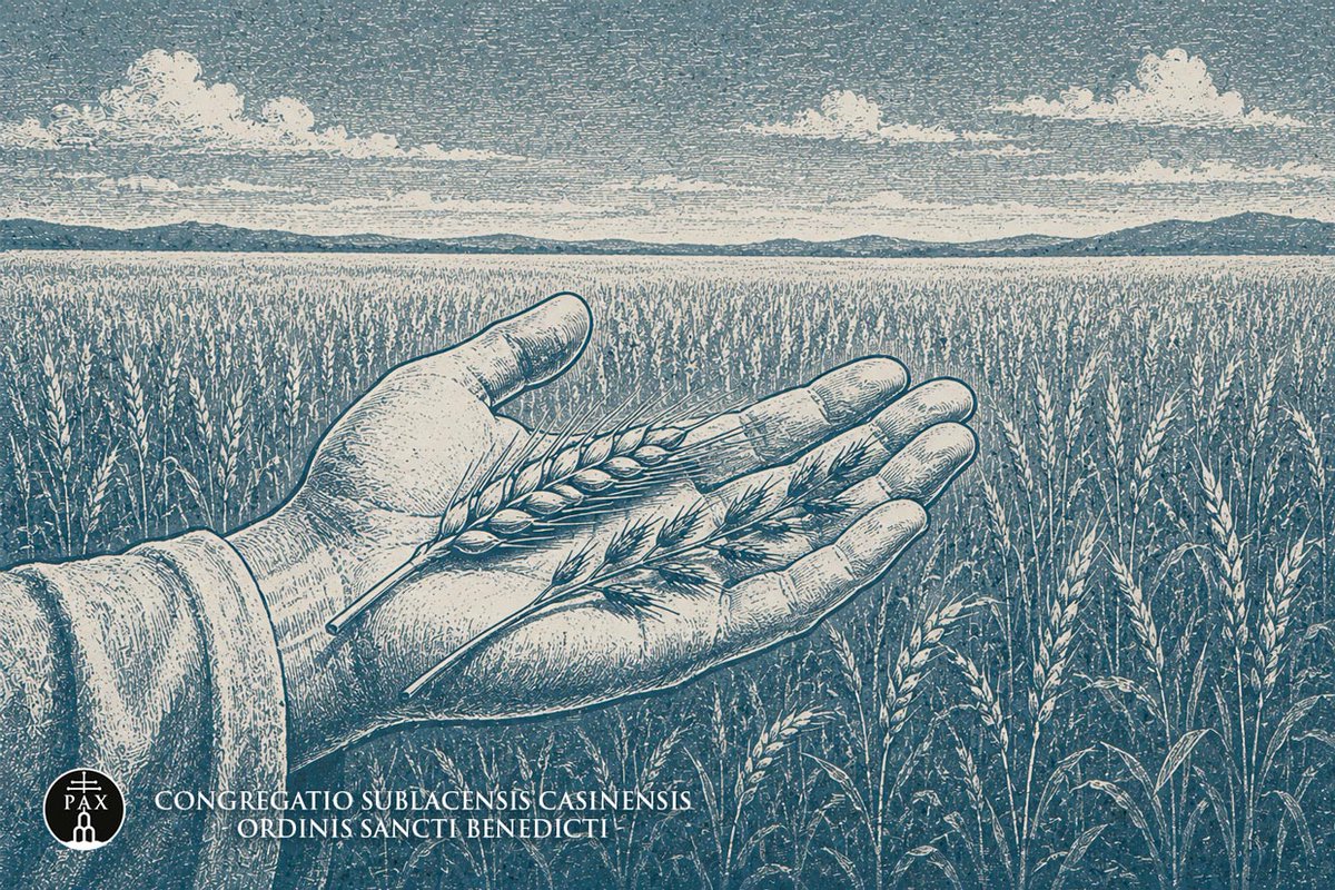CongreSubCasOSB's tweet photo. #19luglio2026
XVI Domenica del Tempo Ordinario
.
Grano e zizzania crescono insieme: nella comunità e nel cuore serve pazienza e vigilanza, perché il bene maturi senza spezzare l’unità.
.
https://t.co/XGsHobkBz2
.
#LectioCSC_ITA
.
@anselmianum https://t.co/PiMpyL3alV