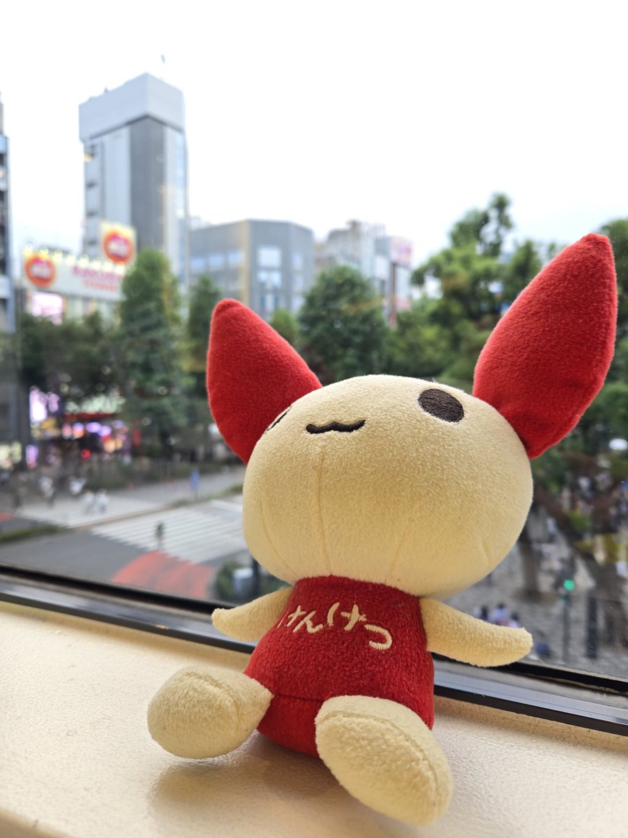 nami_performer's tweet photo. 献血日和だなあ…ということで400mlの献血に行って参りました！🥰🫶
私は成分献血ができる血管ではない😭 ので、4ヶ月ぶりの献血です✌️
念の為、今回採血担当してくれた方に成分献血できる血管か聞いてみたら即答で「無理だね☺️」と言われました😂
数値は優秀らしいのに……🥺 
#東京献血 https://t.co/fwapOfUyAc