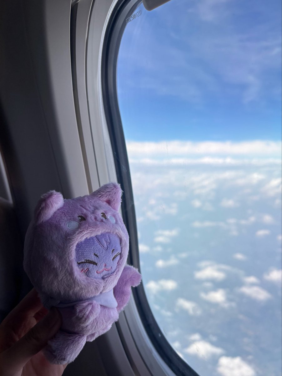 Noenhlm's tweet photo. 行くよ〜ん🇰🇷🐱 https://t.co/8PFKXEBLbm