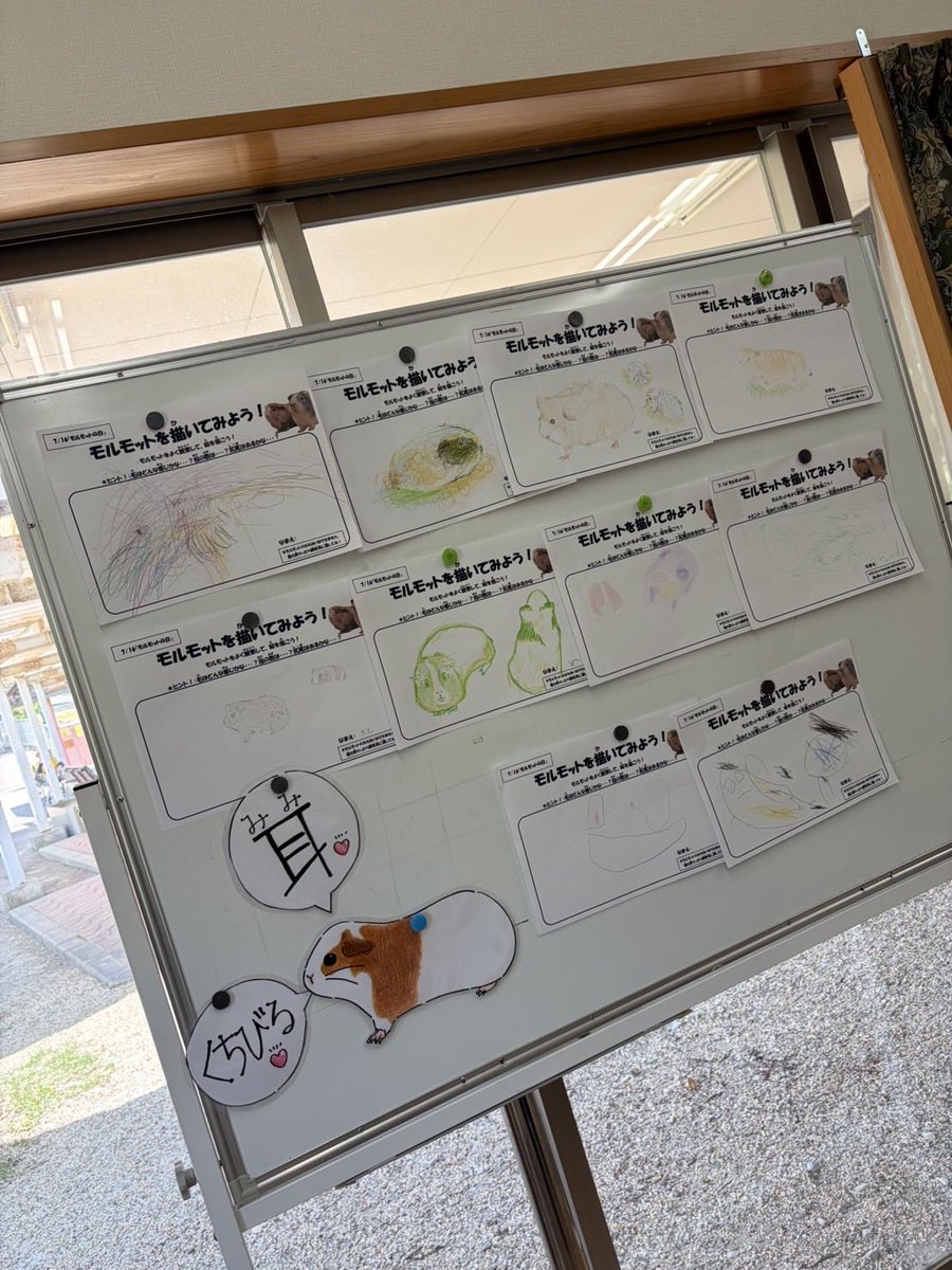englandhill_zoo's tweet photo. 【#モルモットの日】7/16
11:00〜モルモット30分スケッチ✏️&amp;飼育員ガイド🗣️&amp;エサやり体験🥬を無料で開催しました🌟
ゆっくりじっくり観察して"モルモット"について詳しくなっていただけたかと思います🌱
15:30〜スペシャルごはんをプレゼントしました🥕🎁
たくさん食べて元気に過ごしてね((・x・))💫 https://t.co/0UbMbCyOJJ