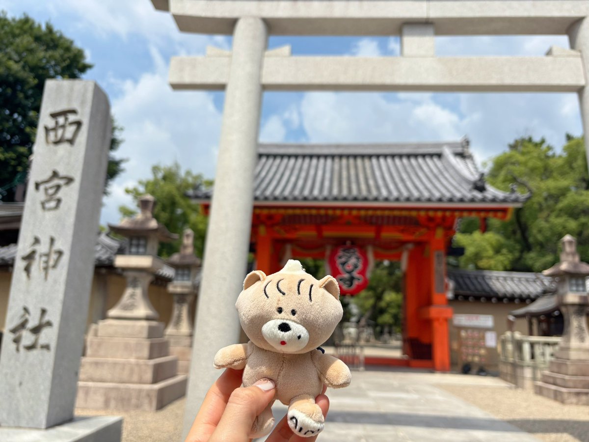 honono__a's tweet photo. サーチライトぶりの西宮神社！
前回見忘れたサインも見てこれた〜！⟡.·
ここにもまた来れますように！ https://t.co/xlvoikVBqA