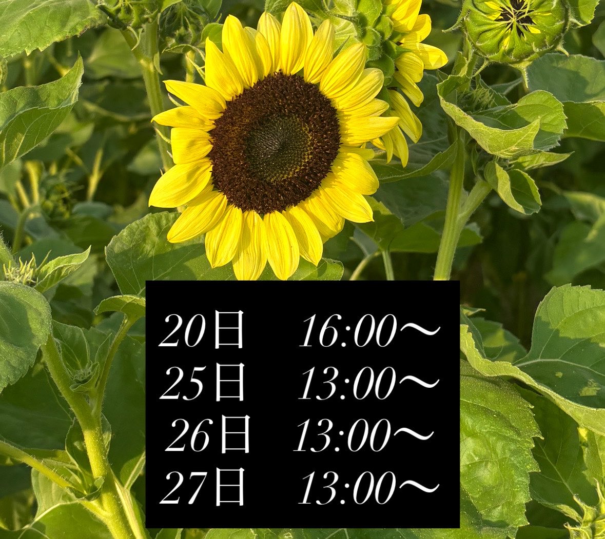 sismea_nagi's tweet photo. 【7月後半のお給仕予定】
大変お待たせしていたしました。
7月後半のお給仕予定でございます。
25.26.27日は僕と七海さんの合同バースデイイベント🎂でございます。
よろしくお願いいたします。 https://t.co/o93XrYsYXa