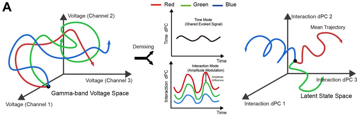 htanig_en's tweet photo. Our new paper is out in @CommsBio! Gamma-band population activity in primate ITC carries color information through a stable geometric structure — the oscillatory manifold.
https://t.co/3EjpUtJahn https://t.co/YF6z85aOsB