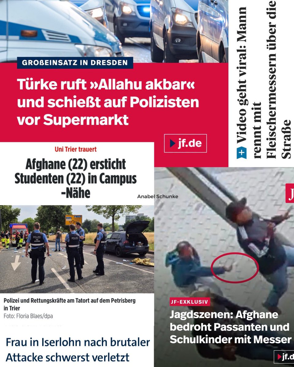ainyrockstar's tweet photo. Ein ganz normaler Tag in Deutschland. 

In Dresden liefert sich die Polizei gestern vor einem Netto-Supermarkt einen Showdown mit einem Allahu Akbar-rufenden Türken, in Trier ersticht ein Afghane random ohne jeden ersichtlichen Grund einen Studenten auf offener Straße, in Ruhpolding jagt ebenfalls ein Afghane mit einem Messer Kindern, Passanten und dem Schaffner hinterher, in Iserlohn attackiert ein Syrer aus dem Nichts eine ältere Frau, prügelt auf sie ein und verletzt sie schwer im Gesicht und in Hagen fuchtelt „ein Mann“ mit Fleischermessern auf der Straße herum, weil es Streit um eine Frau gibt. 

Das ist das Deutschland, das Angela Merkel und Konsorten uns hinterlassen haben. Es geht nicht nur um die grossen Terrorangriffe. Es geht um genau diesen #Alltagsterror. Das Gefühl, dass es dich jederzeit, völlig unvermittelt und absolut willkürlich treffen kann, weil hier seit Jahren irre Gewalttäter und religiöse Fanatiker auf uns losgelassen werden. 

Was diese Politik uns genommen hat, kann man gar nicht in Worte fassen. Freiheits- und Sicherheitsgefühl sterben jeden Tag ein Stück mehr, während Frauen in Polen selbst abends im dunkeln noch durch Parks laufen können. 

Ich hasse sie alle dafür.