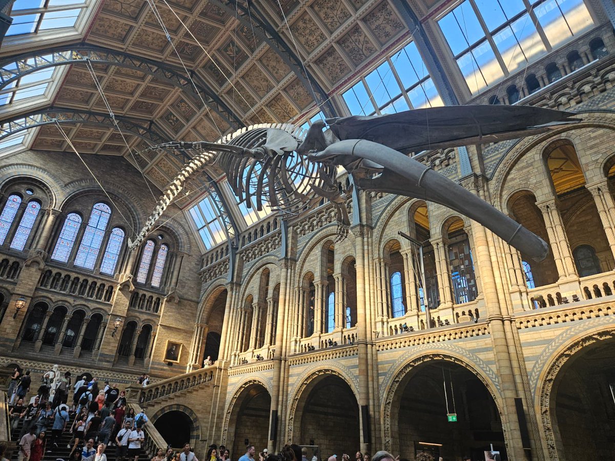 JValorB's tweet photo. Back in Bilbao after the super enriching #AAIC26! 🧠

This congress has been incredibly interesting, inspiring, and motivating!!! 💘 

I'm truly happy to have attended☺️ 

Spending these past few days in beautiful London was also incredibly relaxing!

#Neuroscience #AD #AAIC2026 https://t.co/lW59Gyic5N