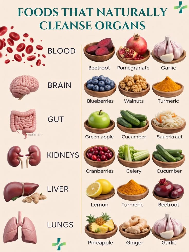 food_health_joy's tweet photo. Foods That Naturally Cleanse Your Organs🫐 https://t.co/xDaElonHFB