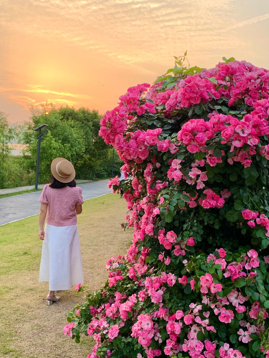 cho373714's tweet photo. New to photography Start with mastering natural light—use the golden hour (1hr after sunrise / 1hr before sunset) for warm, soft shots that make any subject pop! ； https://t.co/t1tYjBtj5D