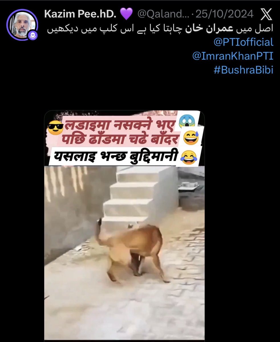 theextractor06's tweet photo. @CANPAK_LOVER اس سے بھی بیٹھ کے باشن سنو ، شرم بھی کر لو ساتھ https://t.co/OprqlikDGi