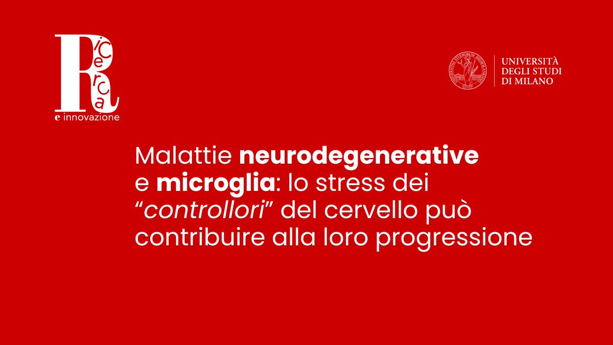 LaStatale's tweet photo. Pubblicato su Nature Neuroscienze, lo studio di Statale e Institut Imagine di Parigi svela un nuovo meccanismo che può contribuire allo sviluppo delle malattie neurodegenerative.
https://t.co/mequNoYhvI https://t.co/OlE6kjhWop