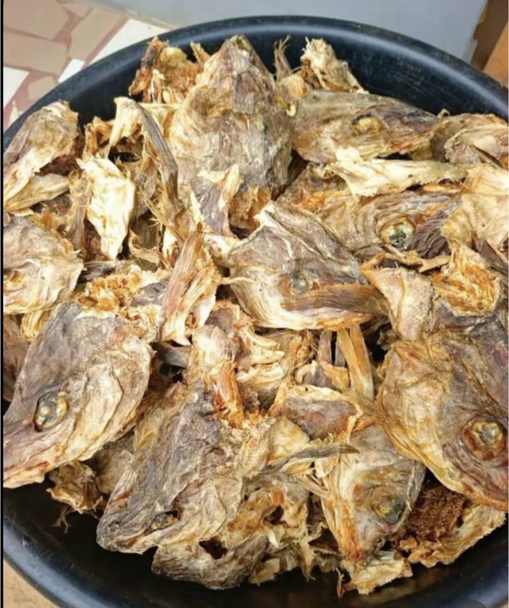 IfeomaIgbotic's tweet photo. How stockfish (Okporoko) became a part of Igbo history.

During the Nigerian Civil War in 1967, Nigeria imposed a food blockade on the old Eastern Region.

There was widespread of starvation, and people  were dying from kwashiorkor.

Norway 🇳🇴  stockfish was among the foods supplied as humanitarian aid to the old Eastern Region. 
Because stockfish is rich in protein and has a long shelf life, it became a lifesaver for many people during the war.

After the war, stockfish became a household food in many Igbo homes.

This is why many Igbo people were rooting for Norway during the 2026 World Cup because Norwegian stockfish played an important role in humanitarian relief efforts during the war.