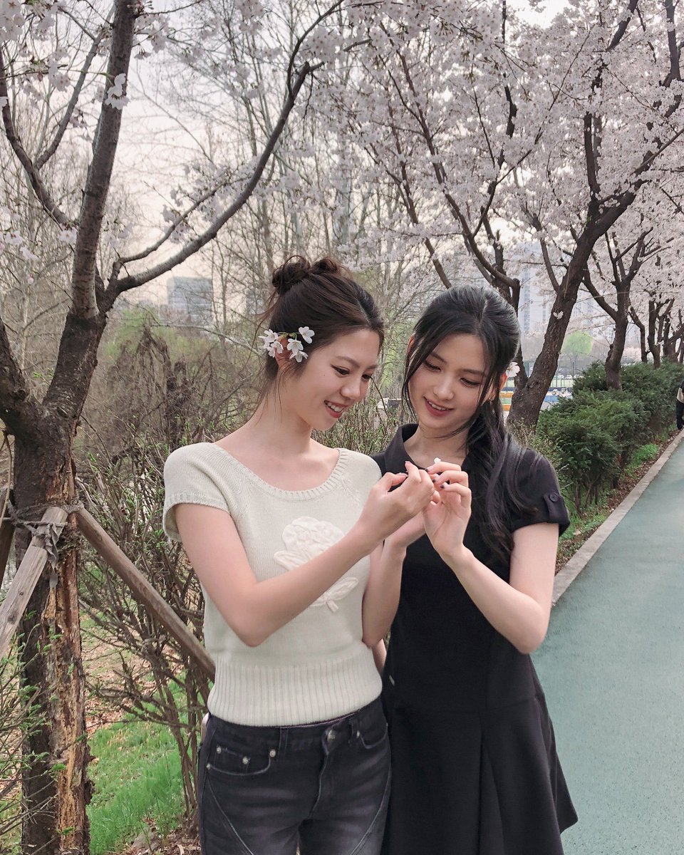 dodreeglobal's tweet photo. #DODREE #도드리 https://t.co/Mhm3qULzOY