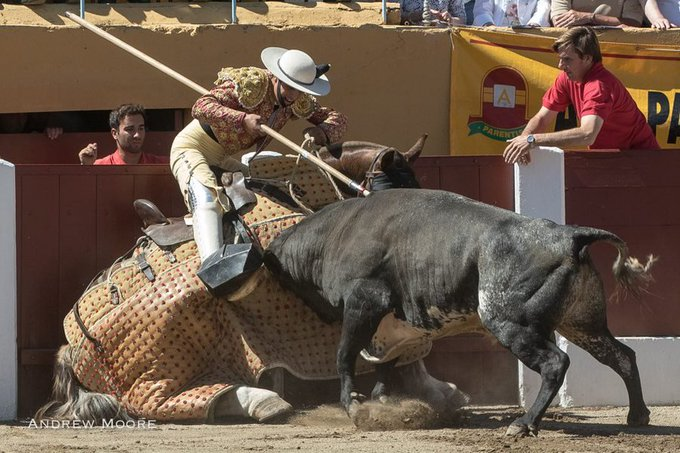 forostoreros's tweet photo. ¡Buenos días! #FelizViernesParaTodos 
¡Que tengáis un gran día! Un día para enmarcar como esta foto de Andrew Moore. ¿Quién es el picador? 
https://t.co/eWYd0aHURK 
Amposta (alcalde de ERC) no se rinde: con su museo taurino en marcha y el XXI Congreso Nacional de Toro con Cuerda https://t.co/jGbilkpWIR