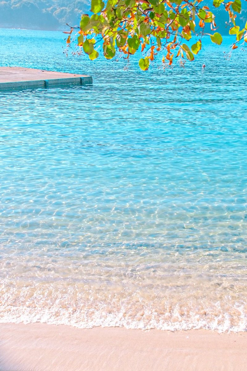 ann_photo05's tweet photo. コバルトブルーの海が美しかった。 https://t.co/9n6BJKfqOB