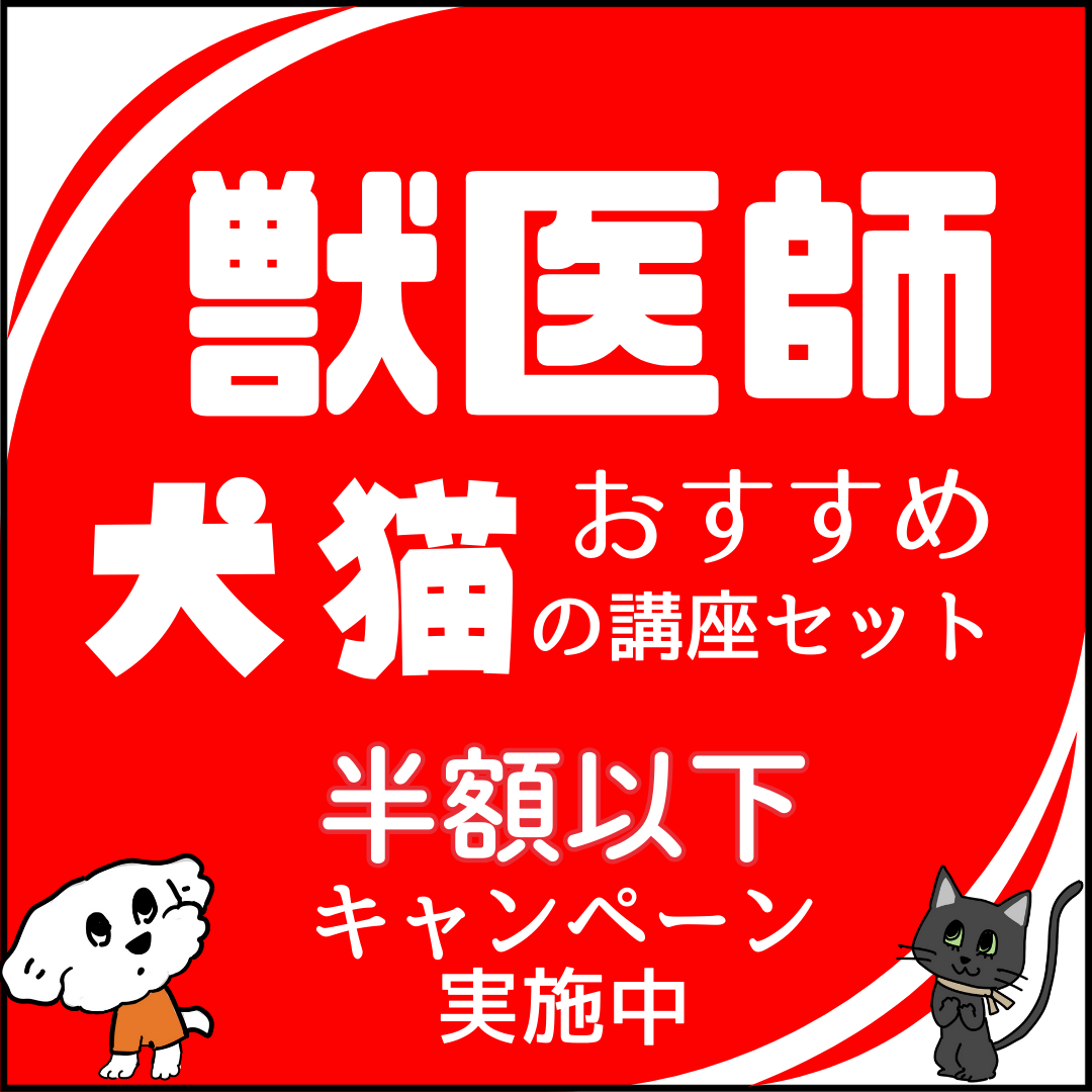 zennitido's tweet photo. 犬猫の健康、笑顔、長寿のため、犬猫についてあらゆる角度で獣医師がオススメする『講座セット』
ただいまキャンペーンにて
●一講座あたり半額以下のお得な受講料設定！
●お得な、全講座の資格認定書の無料発行特典付き！
で、犬猫のについて学ぶ皆様を応援しています！
https://t.co/9sXbdpjA1n https://t.co/qJbr9nPSCa