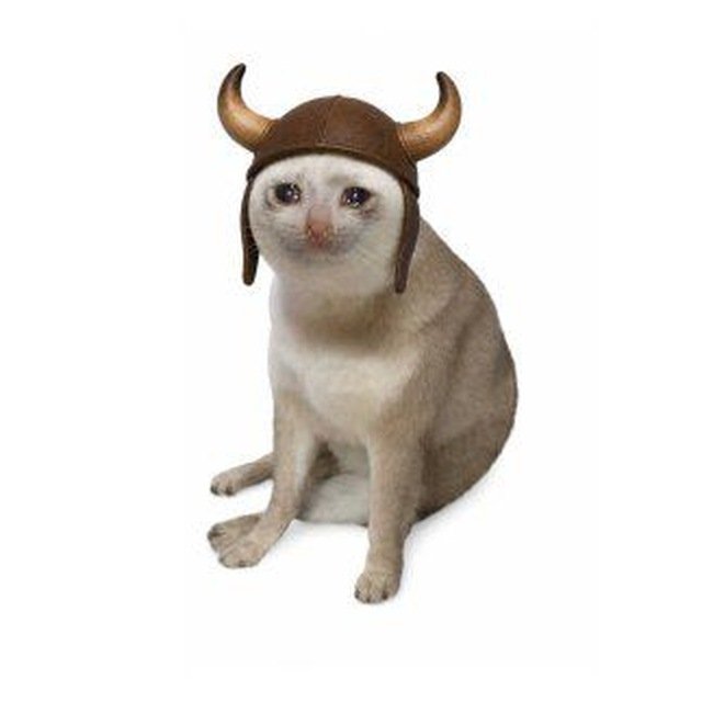 MegaLordX___'s tweet photo. The meme coin space moves fast, but projects with authentic communities often stand the test of time.

$BULLCAT is building that kind of culture, and it's something worth paying attention to.

@TheBULLCATTTT https://t.co/Ze3bpSYfam