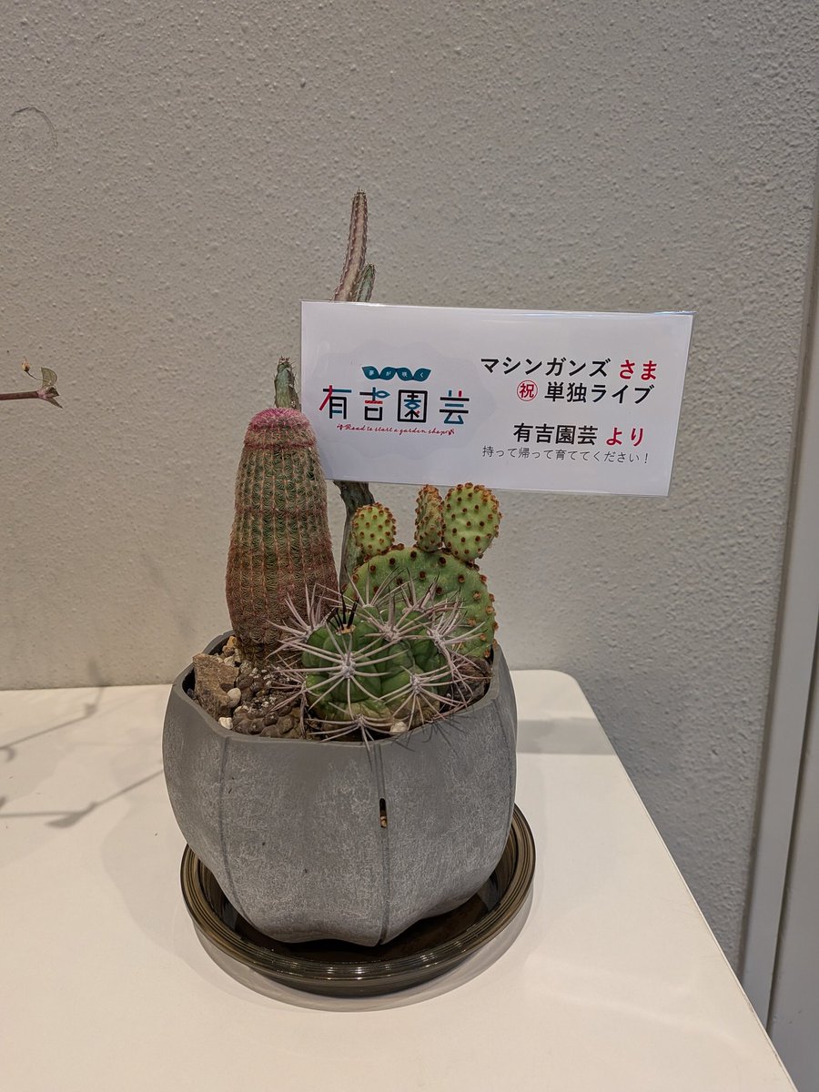 tanaka tweet media