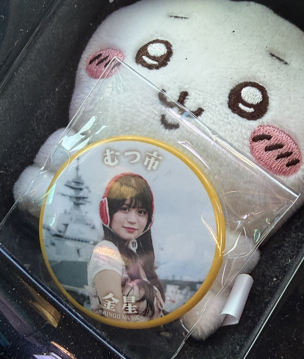 melon_papapan's tweet photo. 速報！
むつ市も缶バッチ入荷してました👍

第二弾はきいちゃんでした♪

#りんご娘
#青森県40市町村スタンプラリー https://t.co/W64X1LmIW5