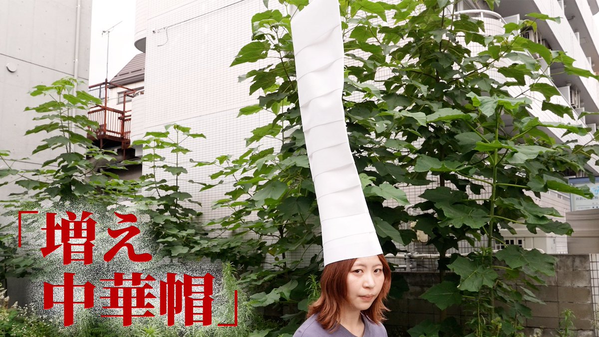 ams_kn_'s tweet photo. 梅雨後半、中華屋、冷やし中華始めてるか始めてないか、当てたら見もの、外れたら増え中華帽
#見もの
https://t.co/TcFG6Iud3r https://t.co/ZTKq6Ph0Ba