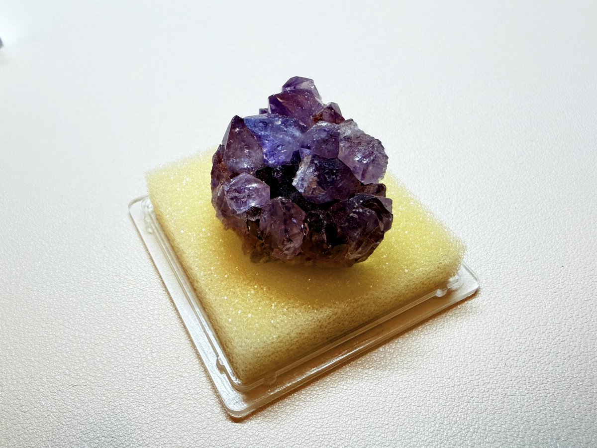 rie_yoshi_'s tweet photo. アメジストの標本入手🍇🍇

家族が物置きの整理してたら見つけたらしく、くれました(なぜ)(ありがとう)(うれしい) https://t.co/JegB0KLwhy