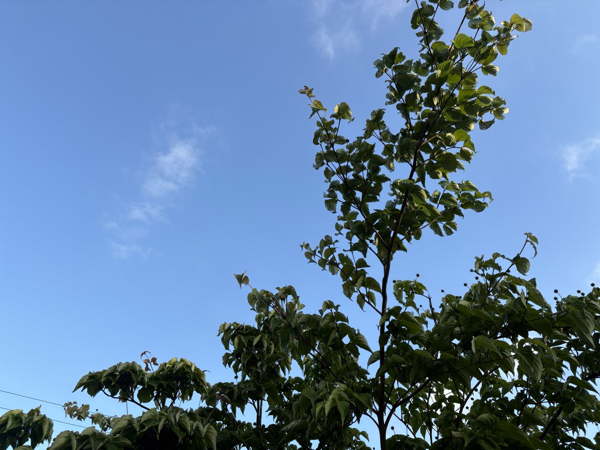 bnonopporo's tweet photo. 今日もみなさま
おつかれさまでした
💫💫💫
#負けちゃった https://t.co/cir61dwady