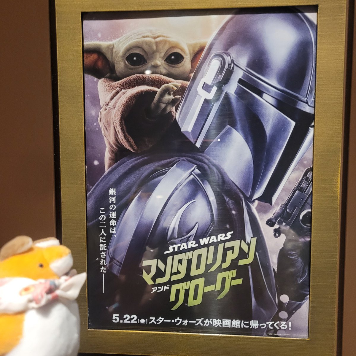 teruteru_3_'s tweet photo. いいなぁ… https://t.co/93wdgzhc2V