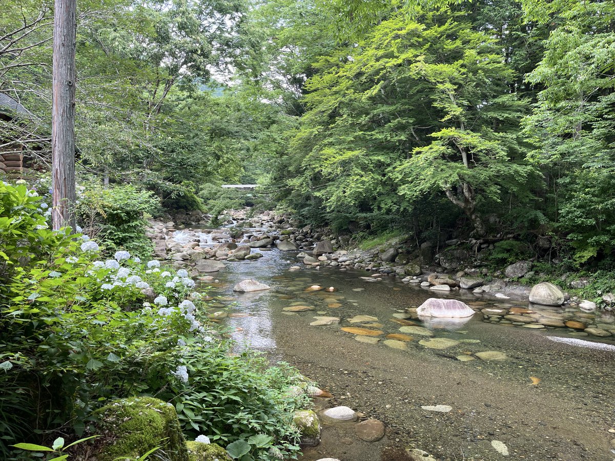 PARA_MEXICO13's tweet photo. 追記

朝イチ〜1.5hスプーン縛りも✖️💦
やはり夏はシビア😰

リアクション以外の釣りを試みるも、ショートバイト⁈のみでヒットさせられず🐟💨

困った時の釣り方に今日も助けられたが、マイクロスプーンやトップ系プラグは投げなかったので、結局釣りの引き出しが増えてない…🎣

でも癒されました🌿 https://t.co/d8g5pMETwG