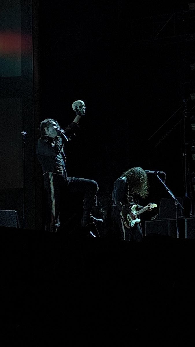 InaStich's tweet photo. Palesemente quel teschio sono io, perché dopo sto concerto non posso tornare alla vita normale. https://t.co/4T6HmutkfB