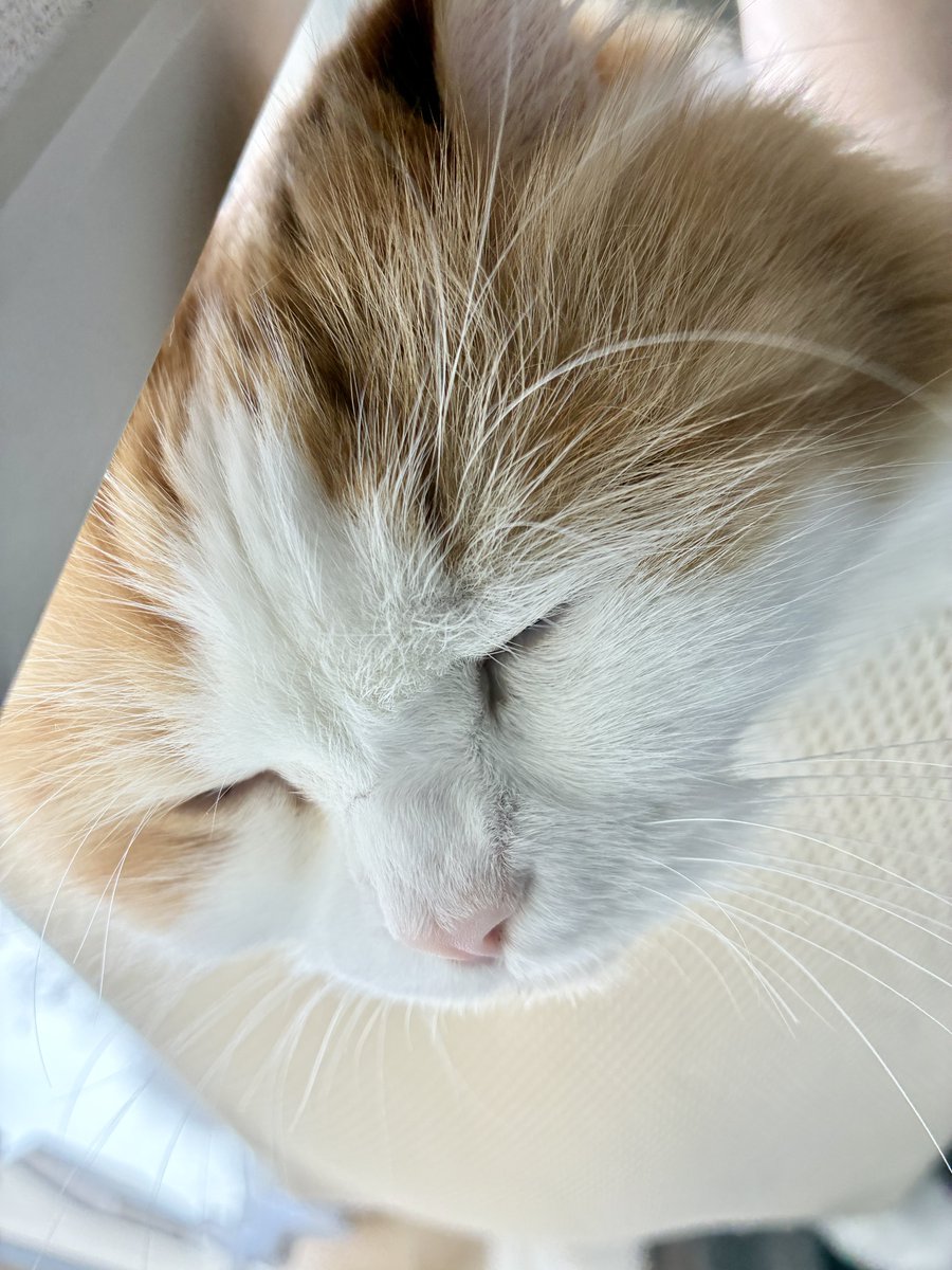 UiCh0827's tweet photo. 今日も一日お疲れ様でした🐾 https://t.co/UJEJYqaMPD