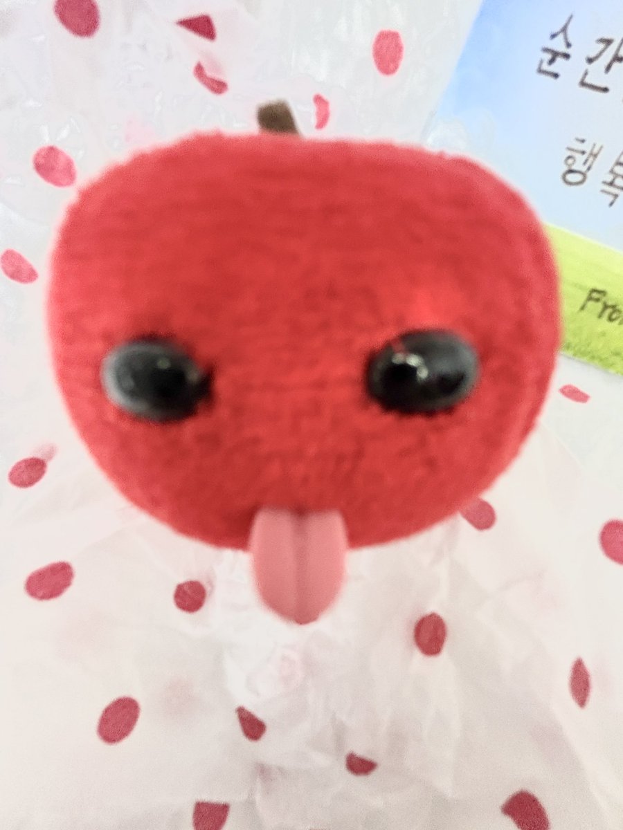 jeumamon96's tweet photo. Mixi 작가님의 사과 인형 선물이 도착했어요 🥹
실물이 정말 귀여워요…🍎 
혀도 정말 귀엽고 같이 써주신 문구도 정말 좋아요… 제가 무슨 일이 잇어도 이 사과는 꼭 대리판매나 공구 형식으로 데려올게요 은혜를 갚아야해… 😭
(알리, 테무 가품 구매 하지말아주세요) https://t.co/iBeUilhNBW