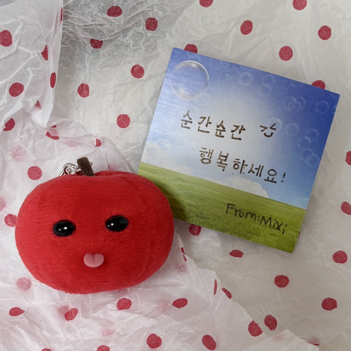 jeumamon96's tweet photo. Mixi 작가님의 사과 인형 선물이 도착했어요 🥹
실물이 정말 귀여워요…🍎 
혀도 정말 귀엽고 같이 써주신 문구도 정말 좋아요… 제가 무슨 일이 잇어도 이 사과는 꼭 대리판매나 공구 형식으로 데려올게요 은혜를 갚아야해… 😭
(알리, 테무 가품 구매 하지말아주세요) https://t.co/iBeUilhNBW