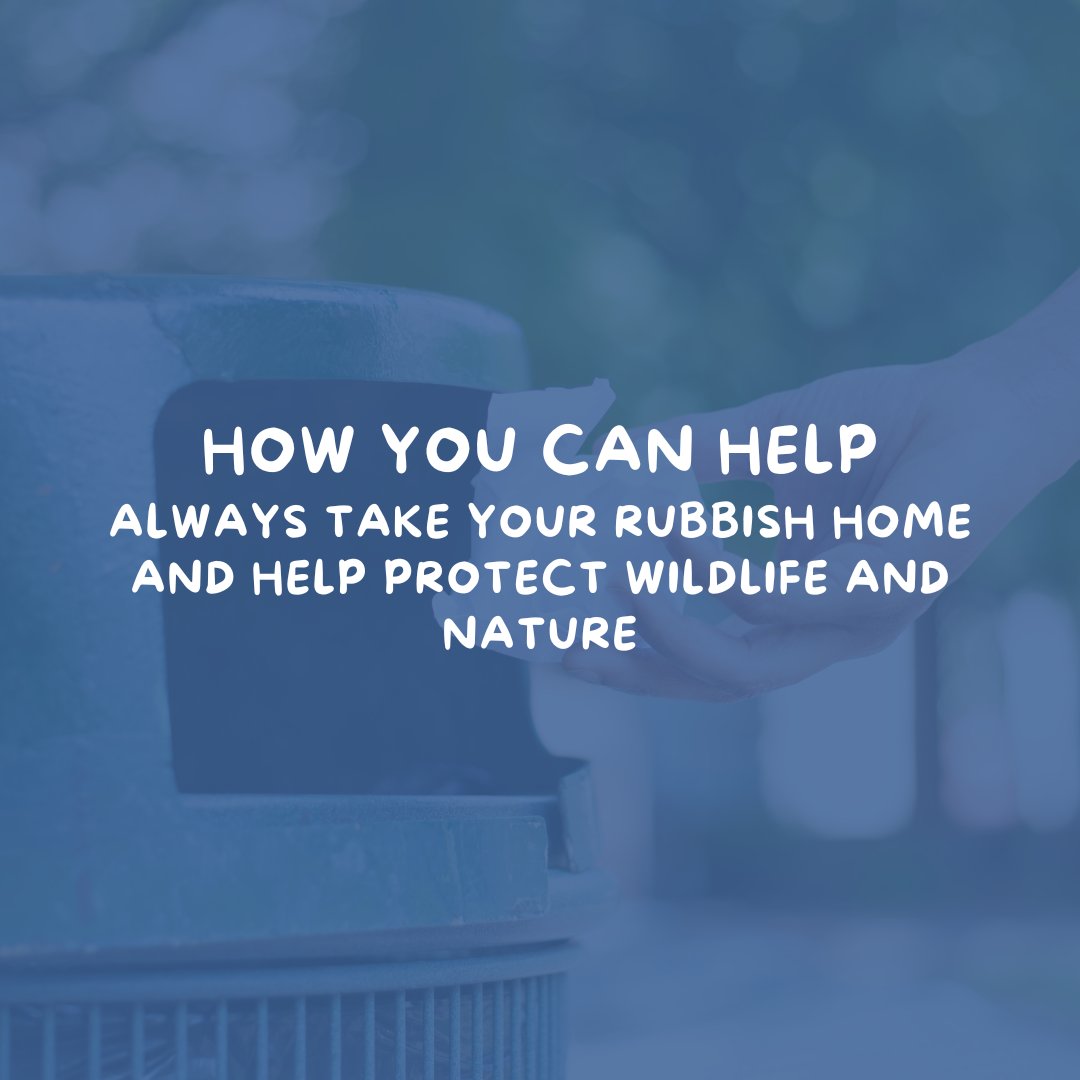 JakesSnakebites's tweet photo. Plastic, clothing and packaging can all harm wildlife and livestock. Small actions matter. Always take your rubbish home! 🌿 https://t.co/a4sr4pLxCO 

https://t.co/9Vb115u6hq

#littering #recycling #kidsinnature #litterpicking #riversafety https://t.co/BbpLzvmGeA