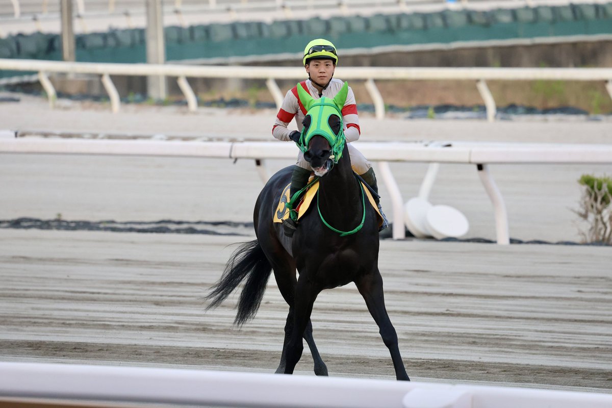kmym_bokujo's tweet photo. 7月16日　佐賀競馬第8レース
KYUSHU DREAM賞(19:35 ダ1300m)

我が家の生産馬🐴ワイドレッド号(8番)が出走します！

佐賀移籍後も健気に頑張って走るバズ子、佐賀での初勝利目指して頑張ってほしいです！

熱い応援よろしくお願いいたします‼️ https://t.co/AN673krXtM
