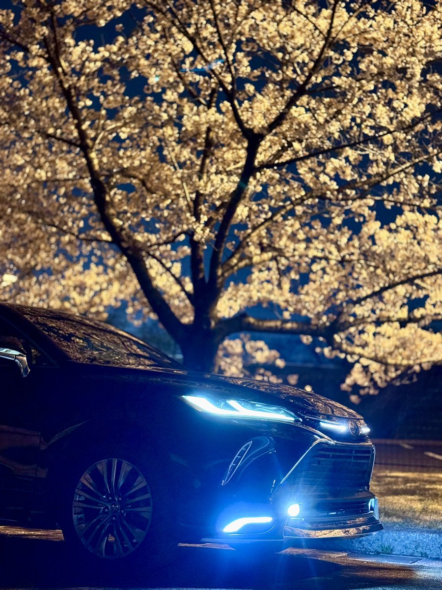 sca_tomoya's tweet photo. ドライブと写活したい🚗💨 https://t.co/HFaoVmhuGX