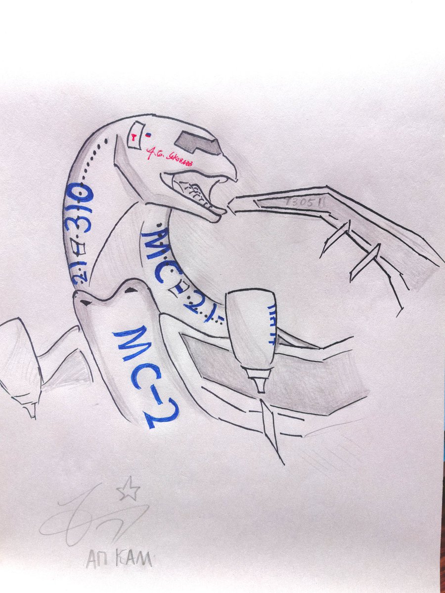 APCAM0429's tweet photo. #livingmachine #vore #airplane #plane https://t.co/RkfW2QR6no