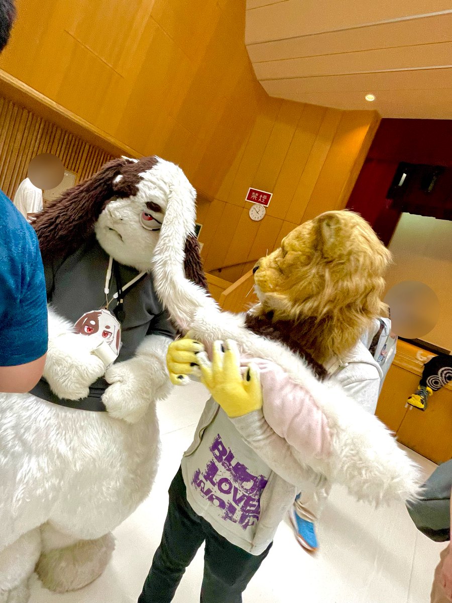 Shibuki_Solzera's tweet photo. 🦁「耳おいしそう。。。ｼﾞｭﾙﾘ」

#FursuitFriday #ソルゼラ #CHOPS https://t.co/JXVy7RxD8v
