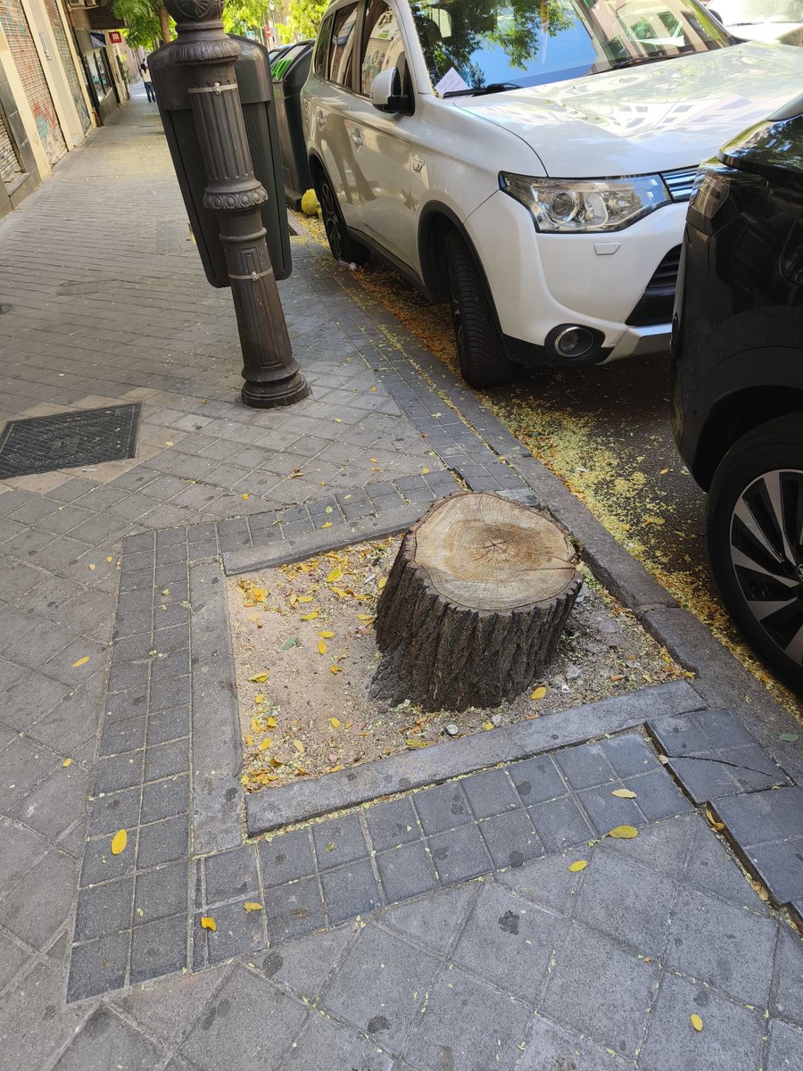 Salvarelcalero's tweet photo. Mientras tanto en #Madrid...

Más y más espacios como estos van apareciendo al sol, sin la sombra que solía cubrir esas baldosas.

El madrileño de a pie se ha hecho inmune a las #talas y a la #basura que aparece en sus calles a partes iguales.

Mientras haya cerveza en el bar... https://t.co/q6RtmQ6XWo