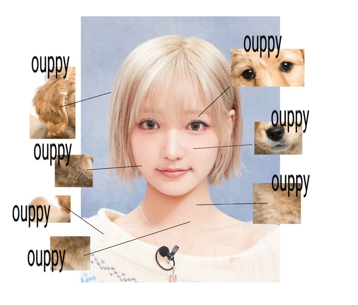 kiiiyuriii's tweet photo. https://t.co/5w6FaOlhUC