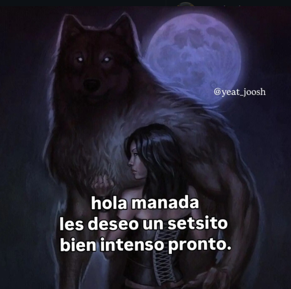kovzki's tweet photo. @imnott_sof buenos días lobita https://t.co/KtTe2ONZqu