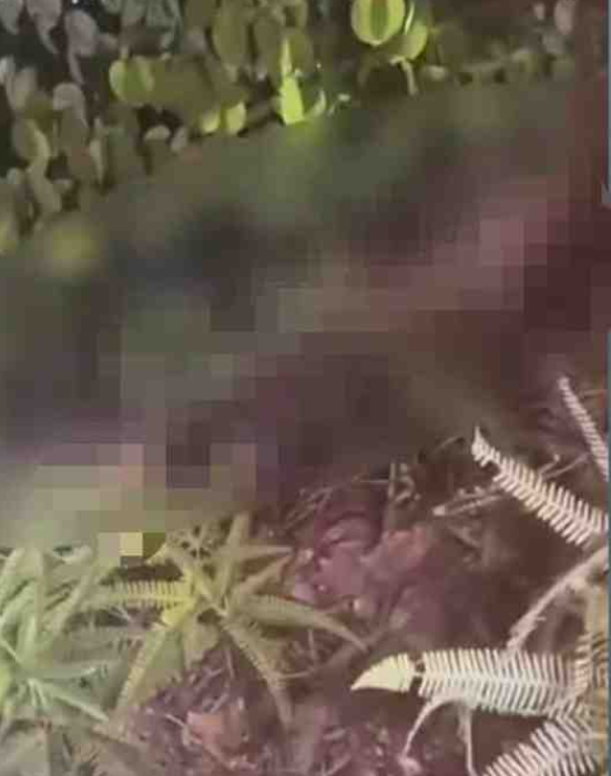 SinarOnline's tweet photo. Hilang tiga hari, Nurjilya ditemui mati dibunuh

Bertindak atas maklumat dan siasatan yang dijalankan, pihak polis telah menahan dua lelaki.

BACA: https://t.co/e7yIckj9sn

#sinarharian #beritaterkini #bunuh #Nurjilya