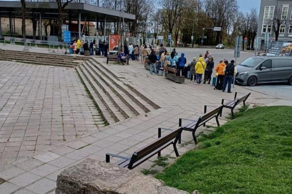 kpru's tweet photo. На границе из ЕС в Россию торгуют местами в очереди. Почему Европа игнорирует свинское поведение и коррупцию:
https://t.co/oEjToZSYsW

Фото: соцсети 
#новости https://t.co/oxibhRcbCF