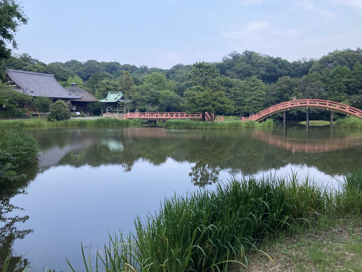 頁(おおがい) tweet media