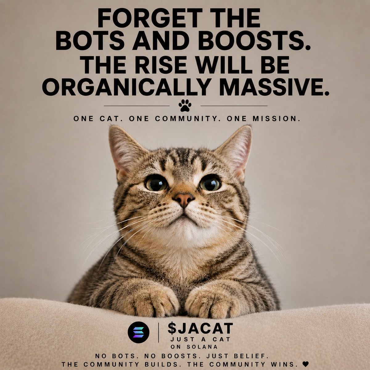 justacatca's tweet photo. @solexpert7 It’s up to the community to decide. I’m “just a cat” https://t.co/Nwe6WII0Wc