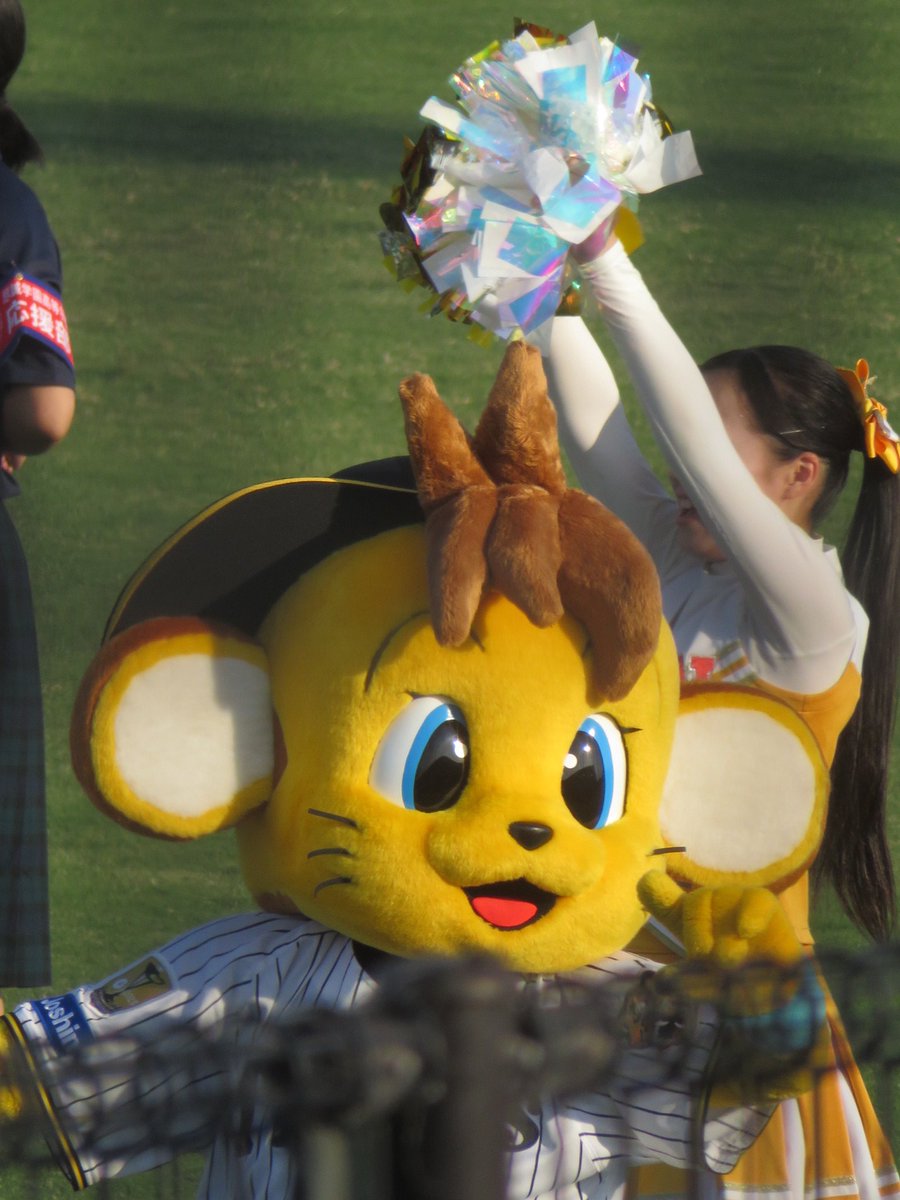 vilucchio's tweet photo. ファーム 阪神vsホークスin丸亀！
今日もコラッキーくんは可愛かったぁ🥰！！ https://t.co/g8zSa6yFNy