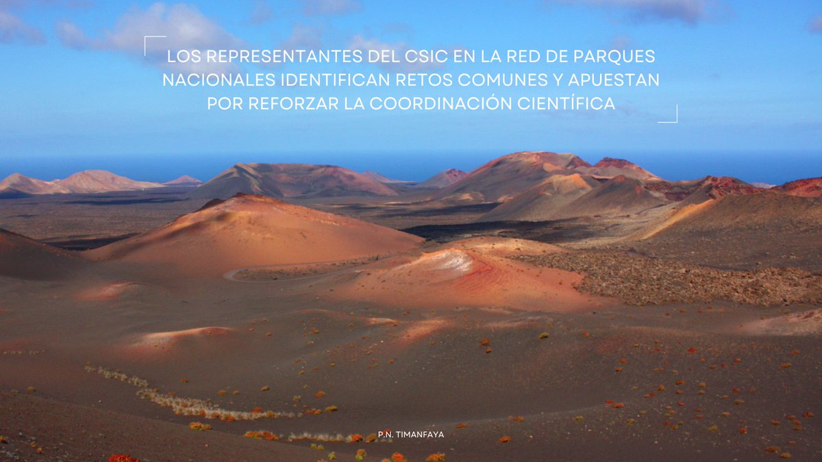 csiccanarias's tweet photo. Manuel Nogales, delegado del #CSIC en Canarias, coordinó la III Reunión del Comité de Parques Nacionales del @CSIC 

🏔️ El #Teide centró parte del análisis por los desafíos que afronta su conservación

🔗 https://t.co/jyeZBG0Ci7 https://t.co/04AeA9NPXN
