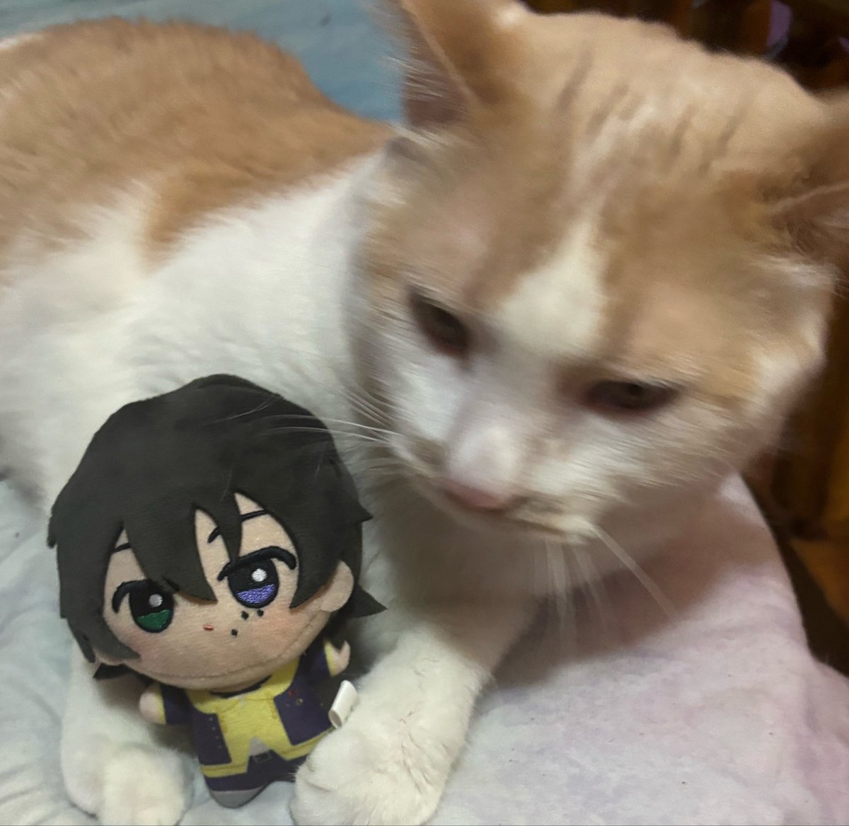 Heartss4Elysia's tweet photo. Ralphie is indifferent towards Saburo https://t.co/5zOsVTvGkL