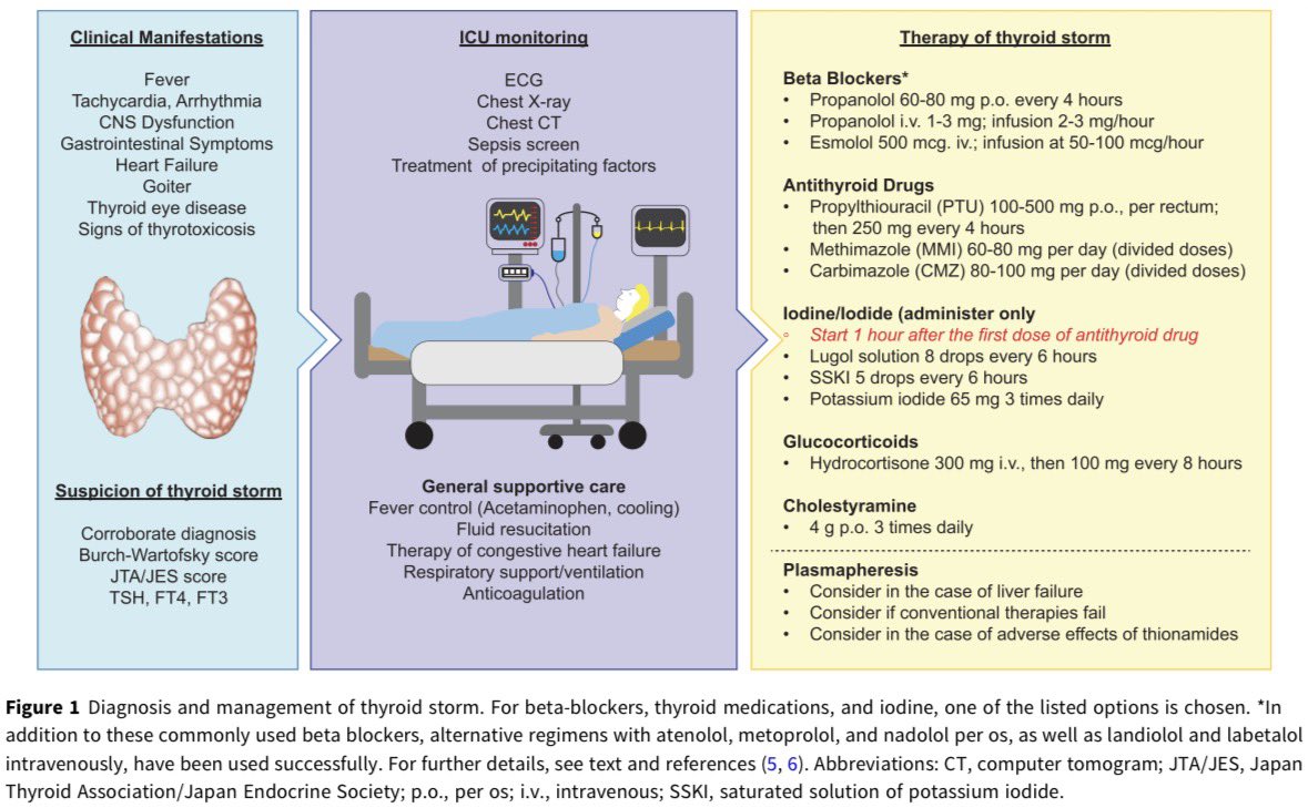 AmbrizMau's tweet photo. Diagnóstico y manejo de la tormenta tiroidea:

Journal of Clinical Endocrinology &amp; Metabolism 2026; DOI: https://t.co/SqQF5yKFD4 https://t.co/tGdXf0Jq5r