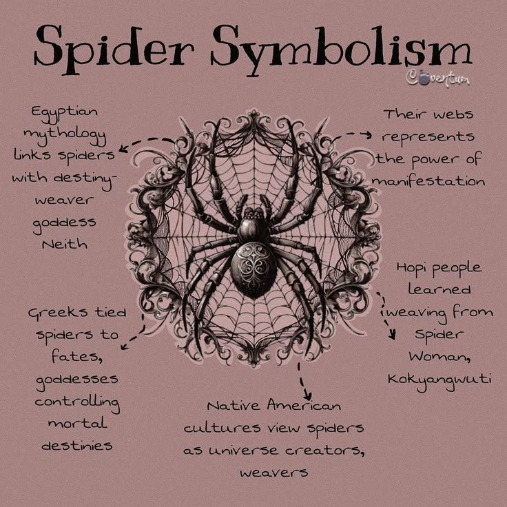 Spiderincrisis's tweet photo. I've been a creator, a teacher, and a fate weaver... now I'm just getting chased with slippers.🕷️🥿#JumpingSpider #MacroPhotography #Nature #Wildlife #Arachnid https://t.co/VjdtwHB0dy