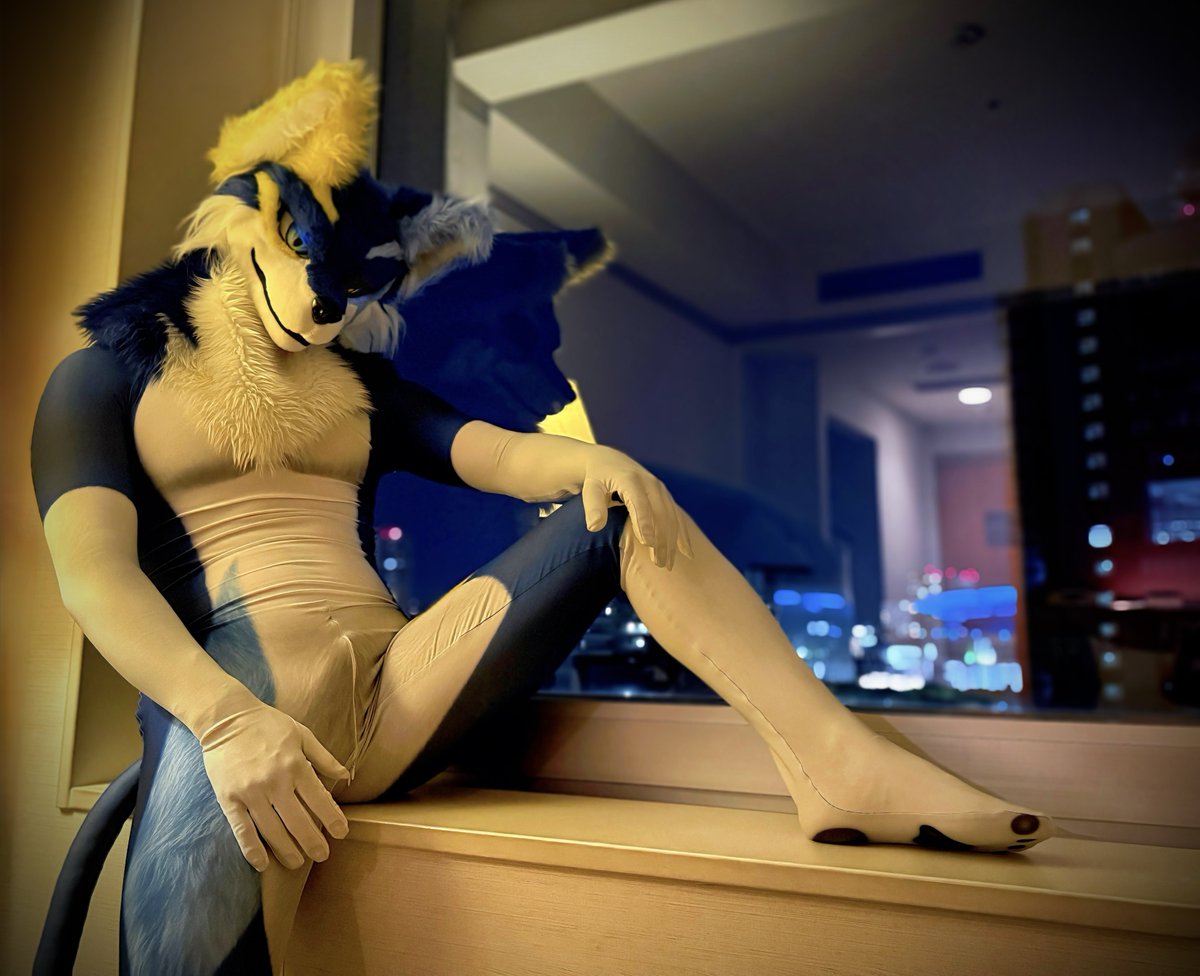 tenryu_Saera212's tweet photo. #FursuitFriday https://t.co/FJpHSLXWxU